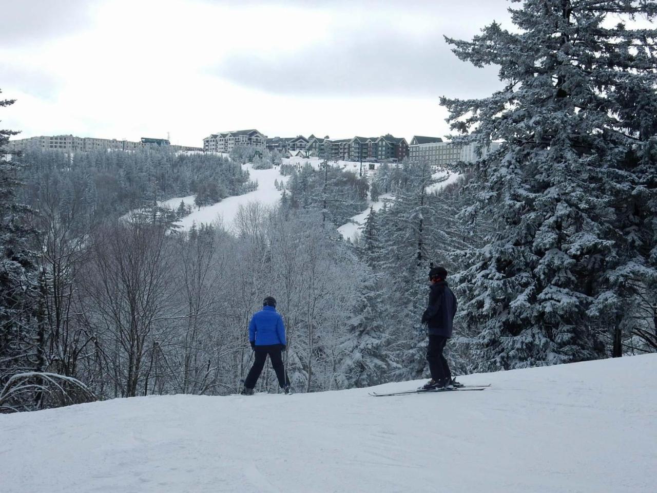Loggers Run #8 Snowshoe Dış mekan fotoğraf
